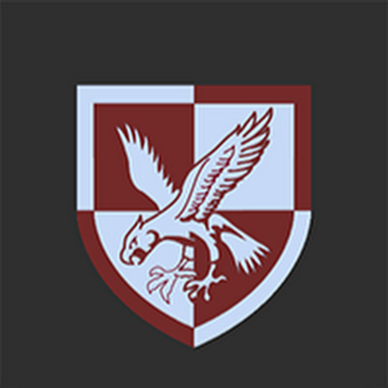 16 Air Assault Milsim Community icon
