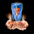 GsXkaTFX30g-channel-avatar-Стоматология. Архив вебинаров.