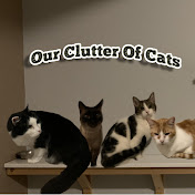 OurClutterOfCats