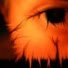 _59uI4TnpC4-channel-avatar-Boh waz (bohwaz)