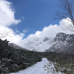 クロスカントリースキーの動画アイコン画像