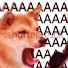 LT0_LwAuTsA-channel-avatar-Myco Dogs