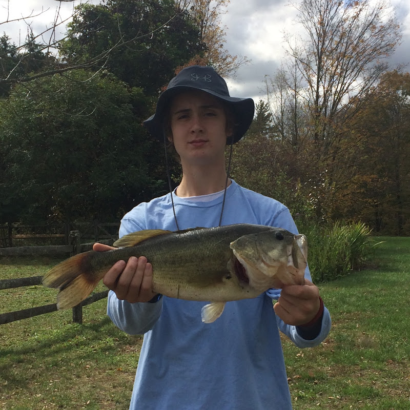 ECFresh Fishing icon