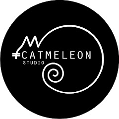 Catmeleon Studio net worth