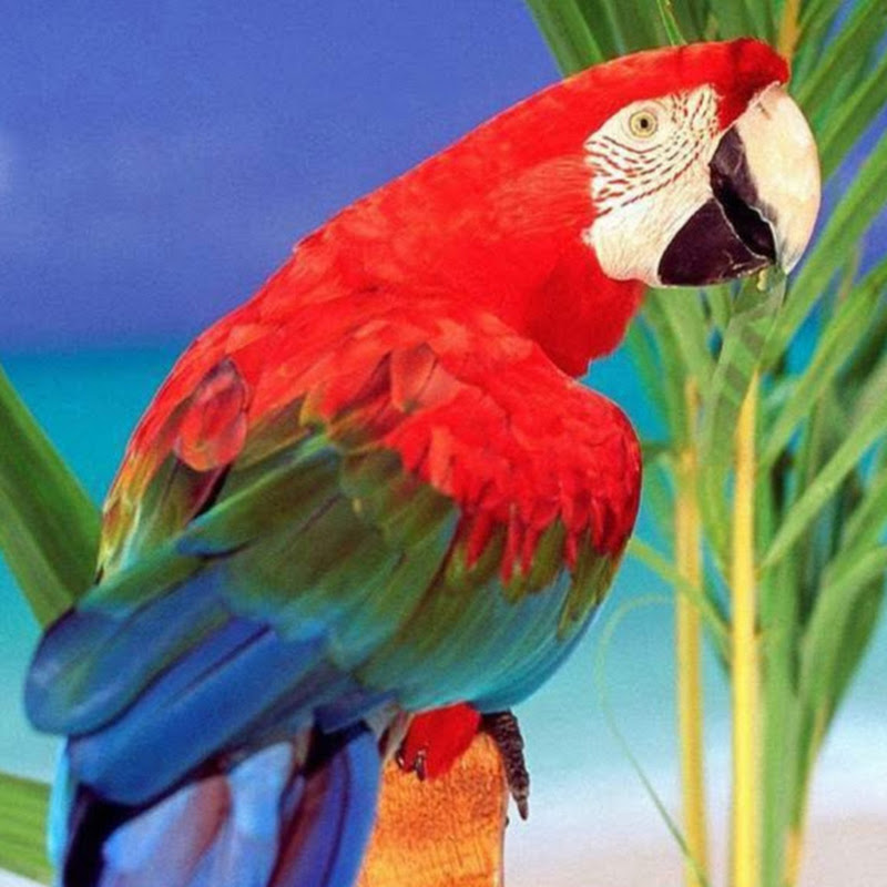Beach Room Rentals LLC