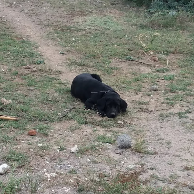 Venupriyan Subramanian