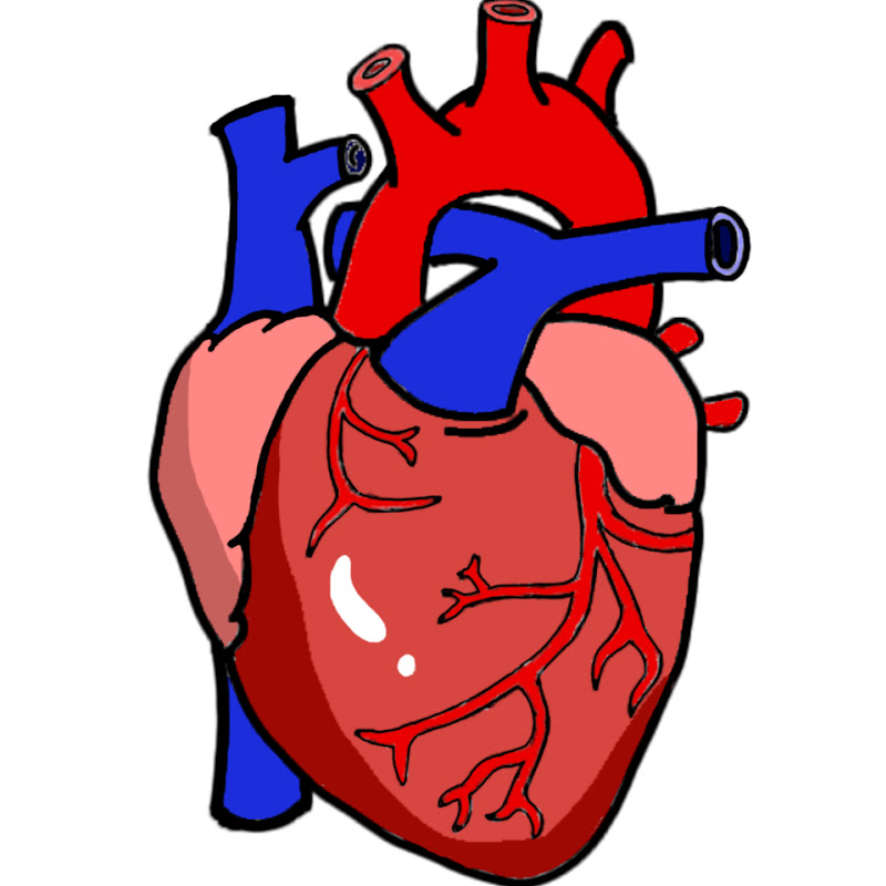 Rhesus Medicine Logo