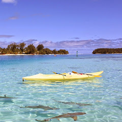 YiTong Jinアイコン画像