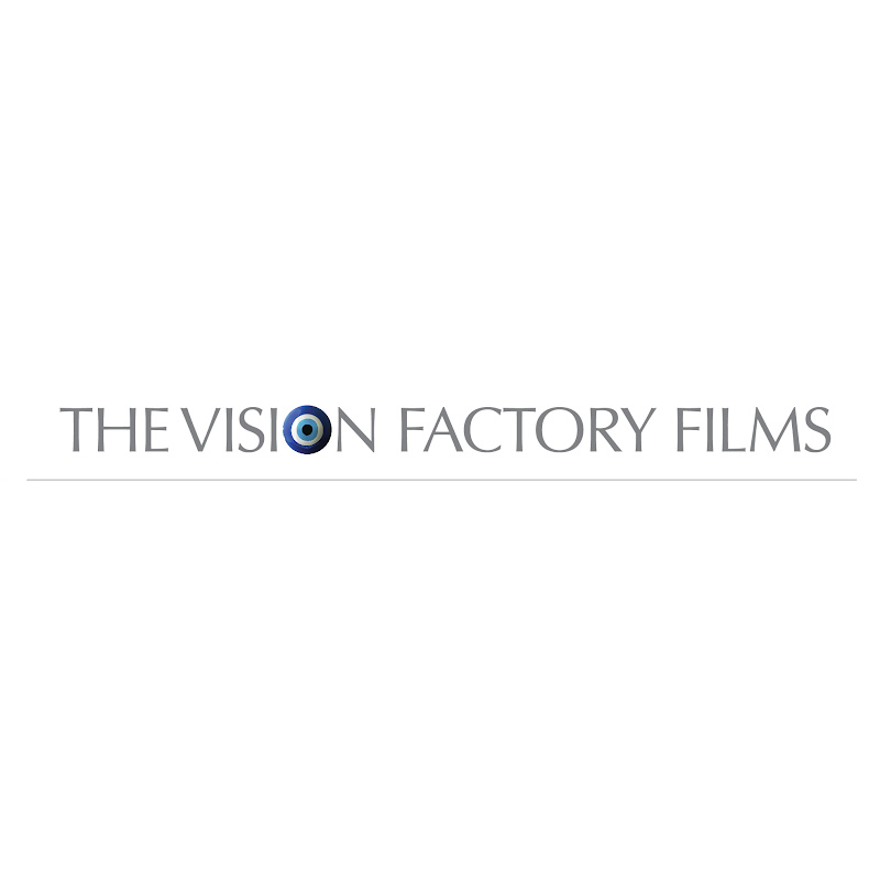 The Vision Factory Films