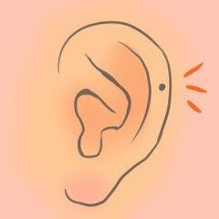 みみたぶチャンネル