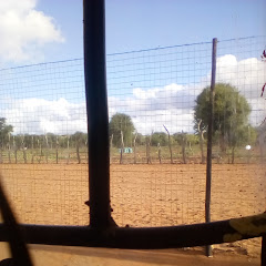 Tennis Camp
