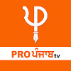 What could Pro Punjab Tv buy with $448 thousand?