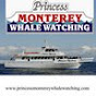 Princess Monterey logo