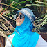 bfCU9JJcbJM-channel-avatar-Bliifee - Muslim Life Hacks