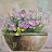 @user-xo3mv6dp5o