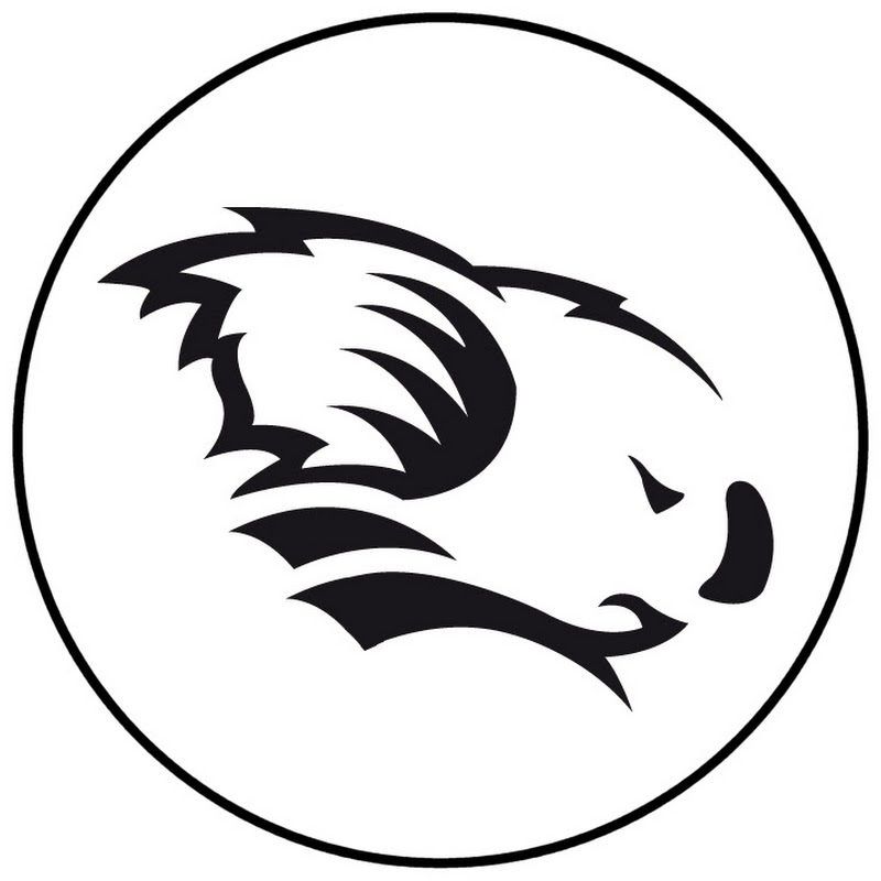 Pająk