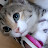 @k.s.h9110