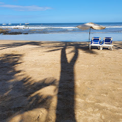 Tamarindo Rich net worth