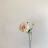 @박아름-o6t