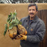 ohjK6gqYBNc-channel-avatar-GrowFoodWell