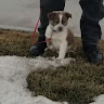 Автор