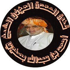 قناة العمدة أحمد بصنوي