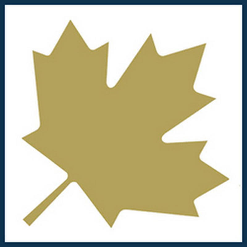 Wealth & Tax Management