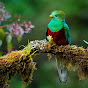 Miniature