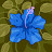 @user-np1ji6tx4c