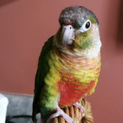 TanyaandOllie