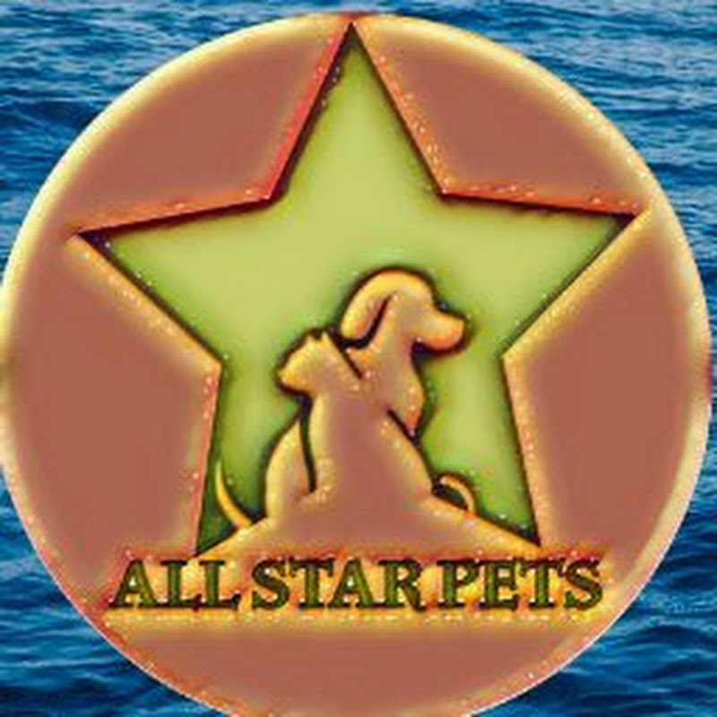 All Star Pets profile avatar