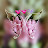 @توتيااحمد-و8ر