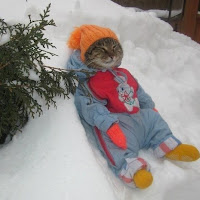 Profile Picture of Gürkan