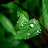 @aniqhaikal28 Avatar