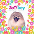 kLQjOAvNvW8-channel-avatar-ZoOkey груминг салон Зоокей