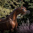 @SWARKA1's avatar