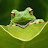 @ethantrompert3404