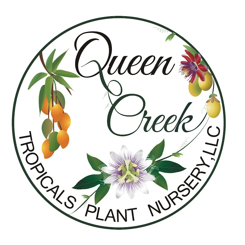 QCTropicals