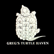 Gregs Turtle Haven