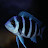 @arone2789 Avatar