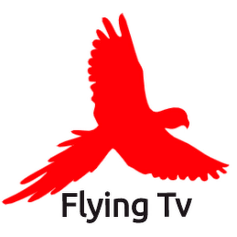 Flying Tv