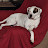 @jonathonruple3297 Avatar