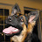 @toleth88 Avatar
