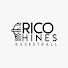 -51C8ih39rg-channel-avatar-Rico “Rico” Hines Basketball