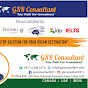 GSR Consultant logo