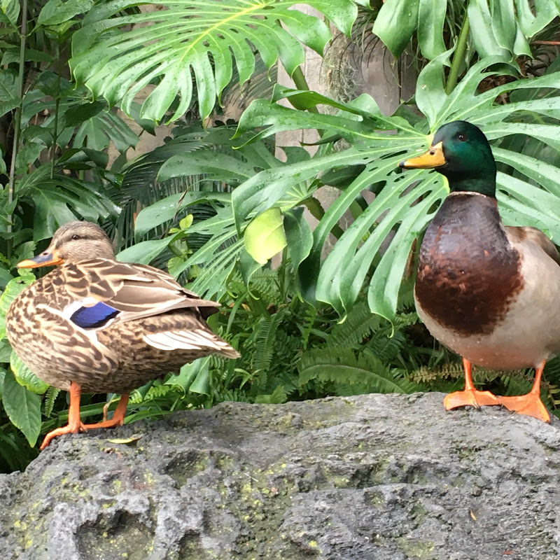 MarketingWildlife