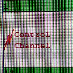 SurvivalComms net worth