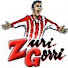 pEV2luK5M90-channel-avatar-zurigorri2001