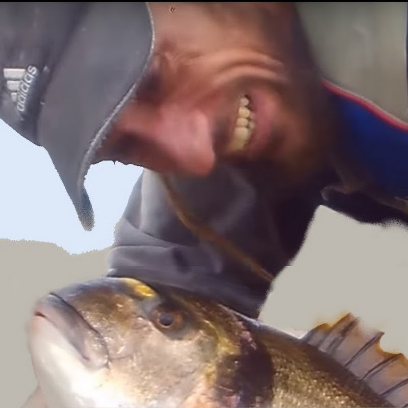 dav fish icon