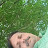 @nazarkp7049 Avatar
